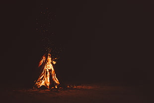 lighted bonfire, fire, wood, burning, night