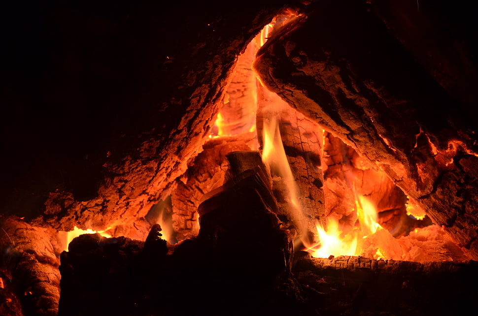 close-up of bonefire, wood, campfire, fire, orange HD wallpaper
