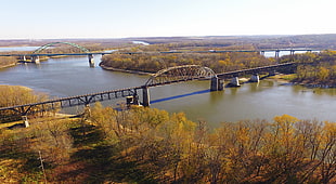 photo of bridge and above river surround by brown trees, illinois river, lasalle HD wallpaper