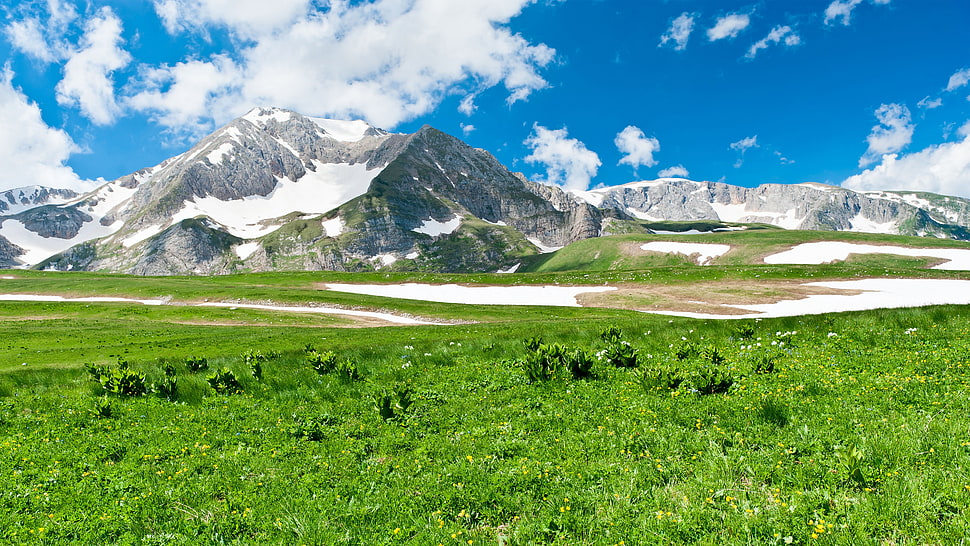 photo of green grass field over viewing snow capped mountain HD wallpaper