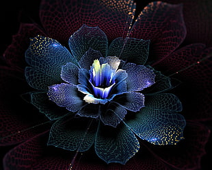 blue and maroon flower illustration, abstract, fractal, fractal flowers HD wallpaper