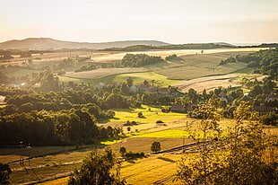 green fields during day time