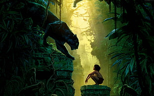 The Jungle Book film poster HD wallpaper