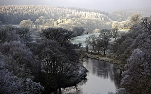 body of water, nature, river, winter, ruin