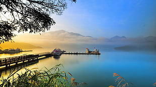 dock bridge, nature, landscape, lake