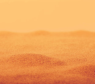 brown and white area rug HD wallpaper