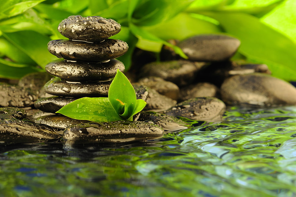 gray concrete stones HD wallpaper