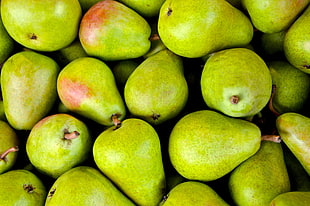 pile of unripe avocado fruits HD wallpaper