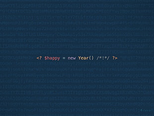 Shappy= new year illustration, minimalism, pixel art, Vladstudio, PHP