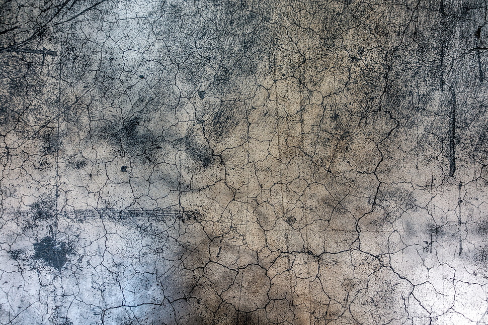 grey concrete wall HD wallpaper
