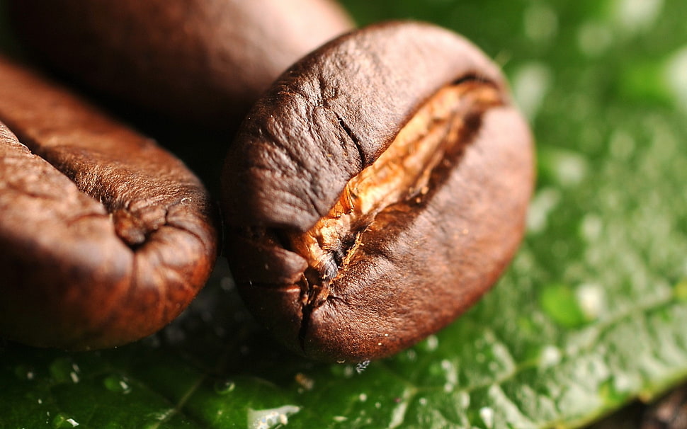 brown coffee beans HD wallpaper