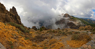 green mountain during daytime, hoya, gran canaria, islas canarias