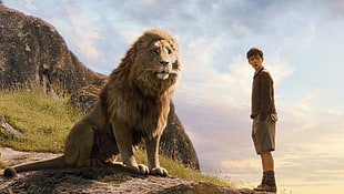 brown and white fur cat, movies, The Chronicles of Narnia