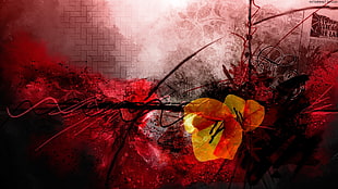 red and yellow floral painting, digital art, abstract, flowers HD wallpaper