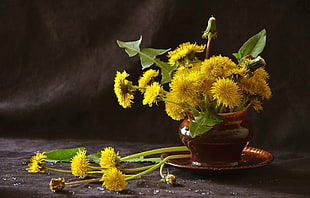 yellow and green petaled flowers, flowers