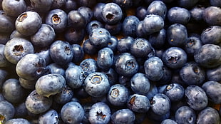 blueberry lot HD wallpaper