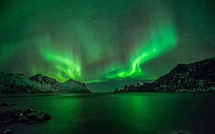 green northern lights, aurorae, nature, sky, Norway