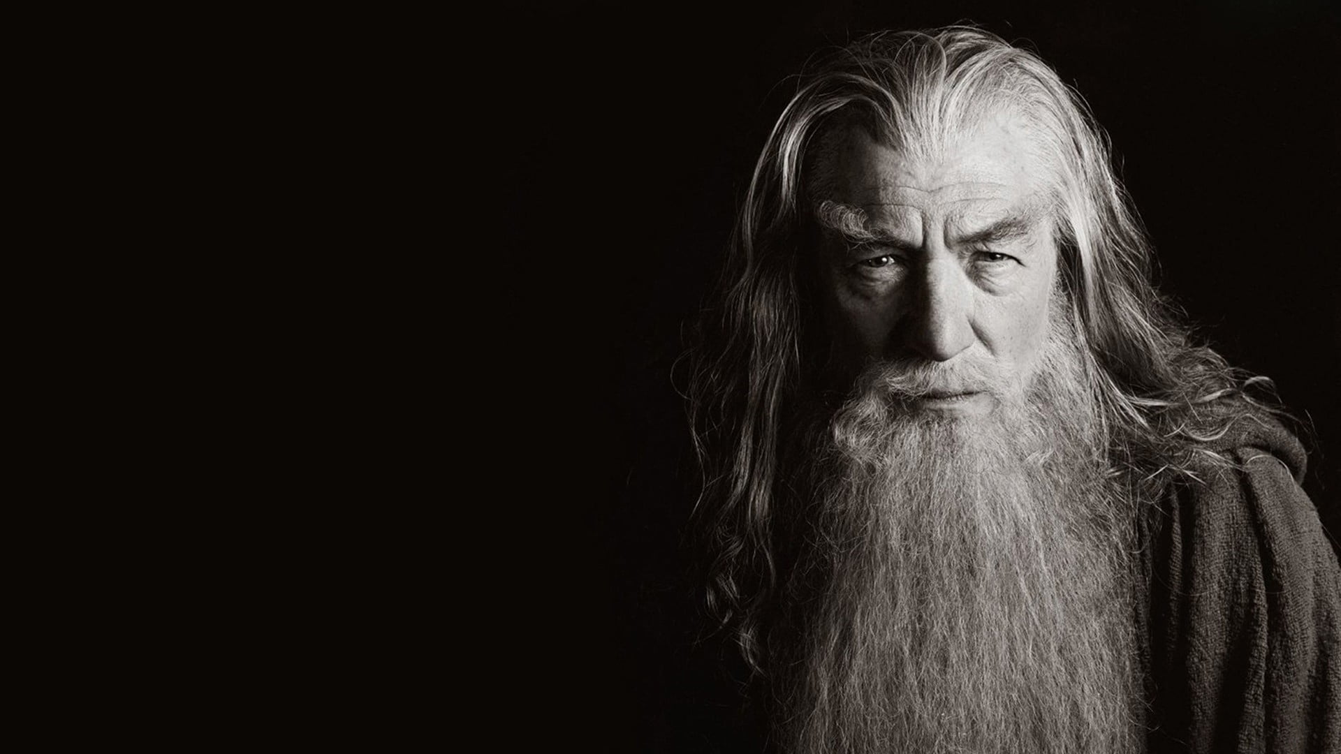 Lord of the Rings Gandalf in grayscale photo, Gandalf