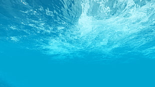 underwater photography HD wallpaper