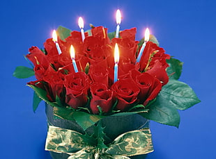 red rose with candle decor