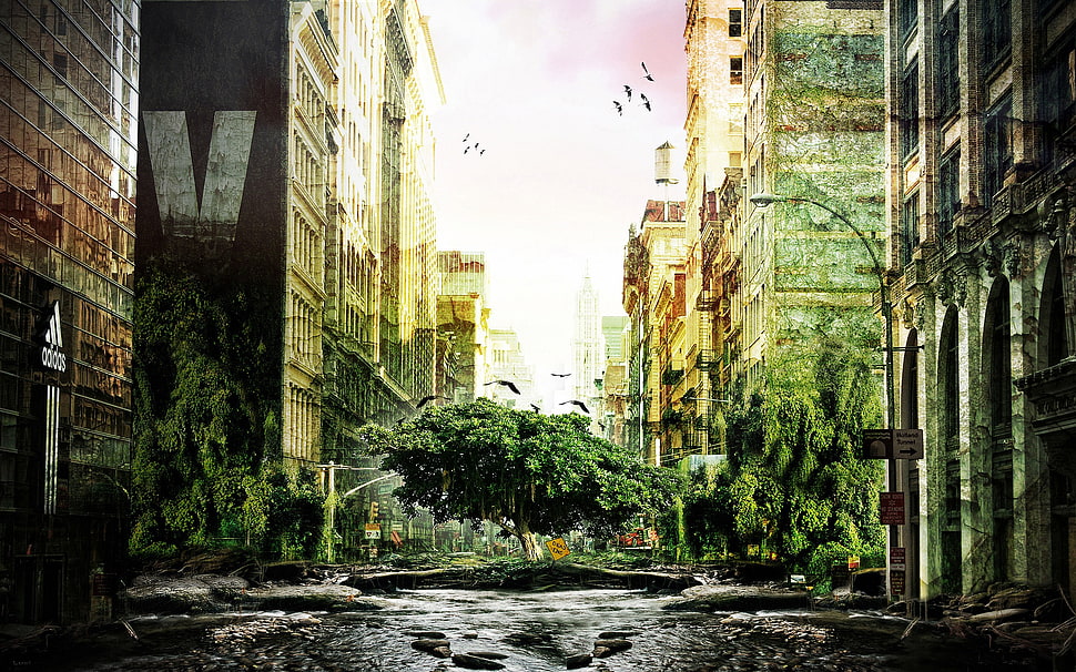 green tree, artwork, fantasy art, digital art, apocalyptic HD wallpaper