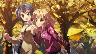 two female anime character HD wallpaper