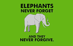gray elephant illustration with black text on green background, humor, minimalism, typography, elephant