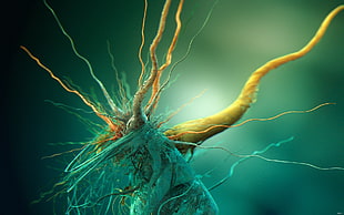 green and yellow root-themed digital wallpaper, digital art, render, CGI