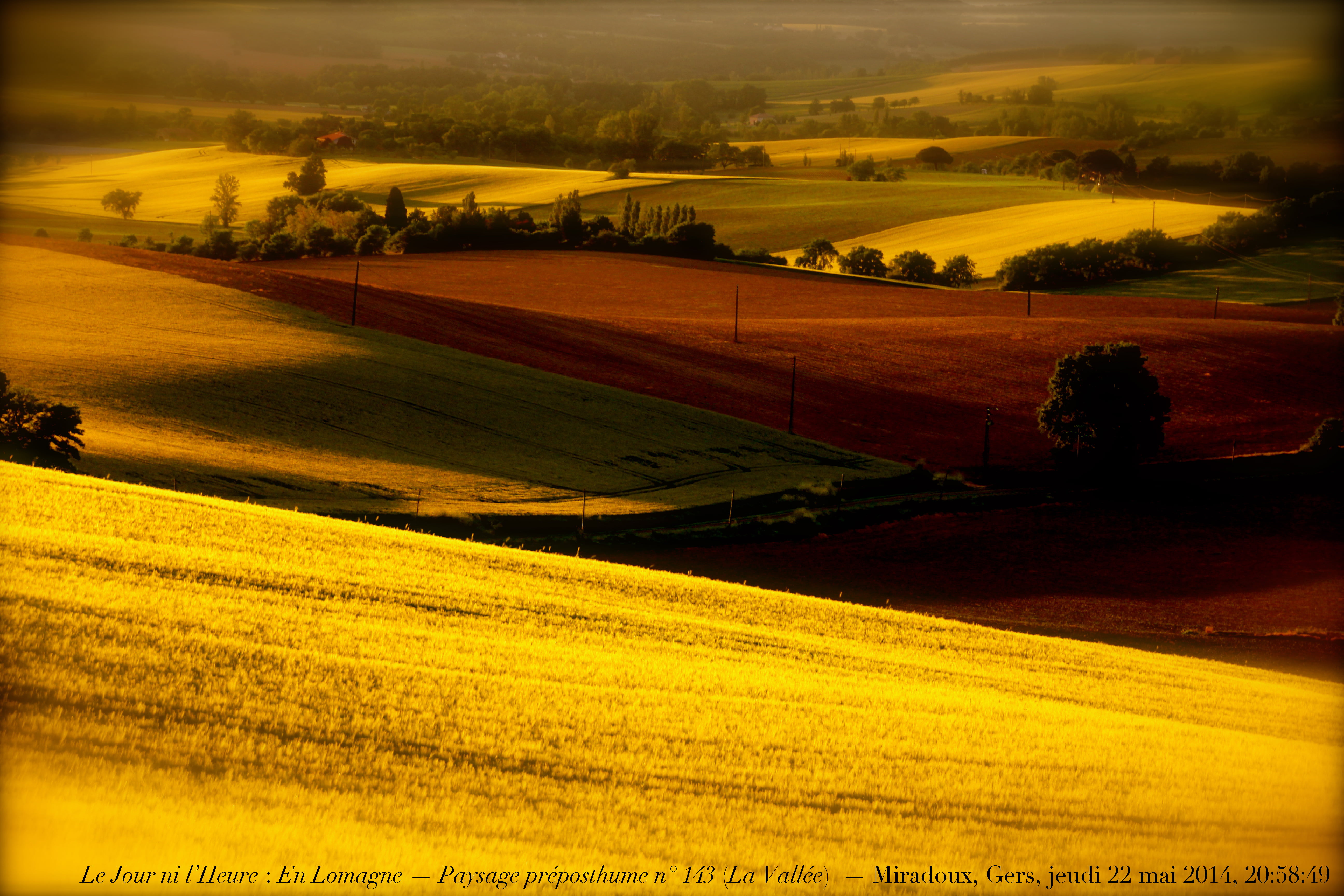 landscape photo of grass field during sunset, miradoux