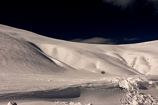 snow-covered landscape