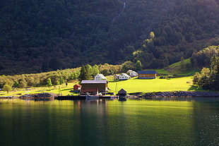 houses near body of water and mountain, norway HD wallpaper