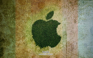 Apple brand logo artwork HD wallpaper
