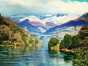 green leafed trees, mountains, fjord, Chile, Patagonia