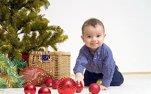 boy in blue dress shirt near basket beside the green Christmas tree