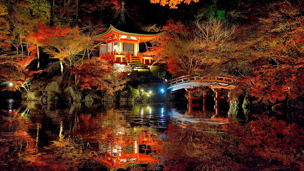 red pagoda during night HD wallpaper