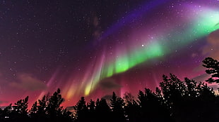 purple, green, and blue aurora, NASA, galaxy, stars, sky