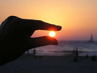 person holding sunset