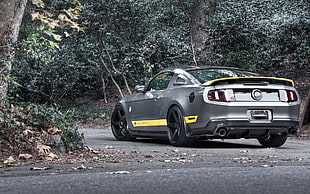 gray and yellow sports coupe, car, Shelby Cobra, muscle cars HD wallpaper