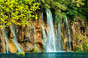 photo of waterfalls near green leaf tree