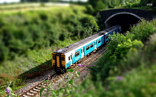 teal and white train surrounded by trees
