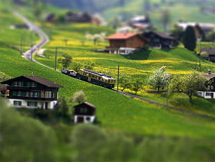 miniature photography of white and black train between green grass field and houses