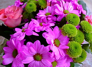green and purple flowers
