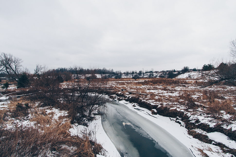 brown and white snow field HD wallpaper