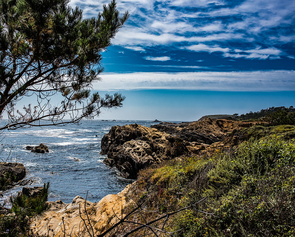 rock formations on seashore under blue sky, point lobos HD wallpaper