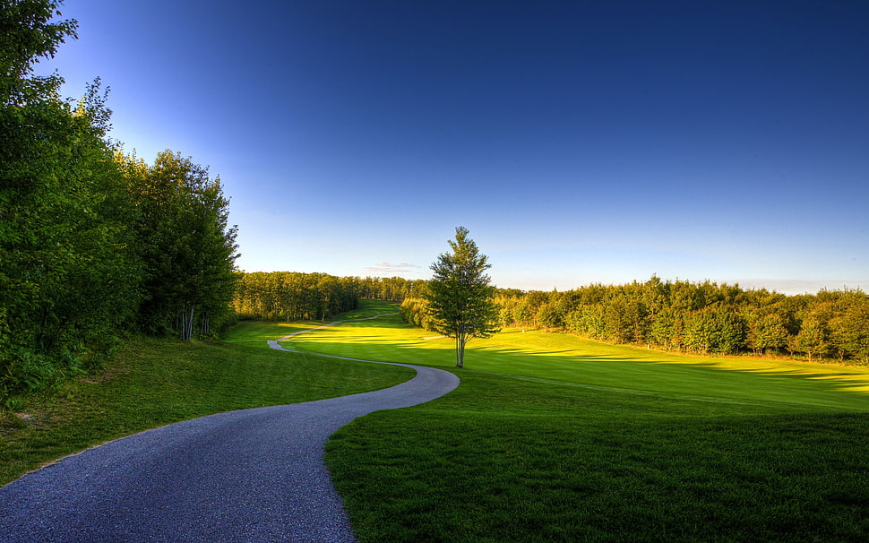 green field during daytime HD wallpaper