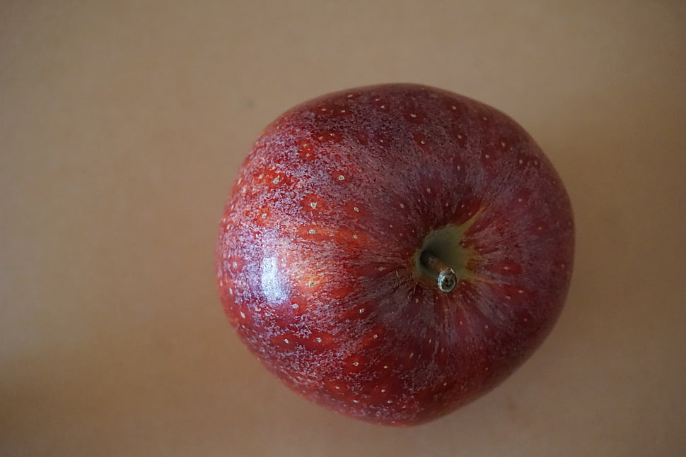 red apple fruit HD wallpaper