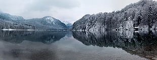 body of water surrounded with mountains, alpsee