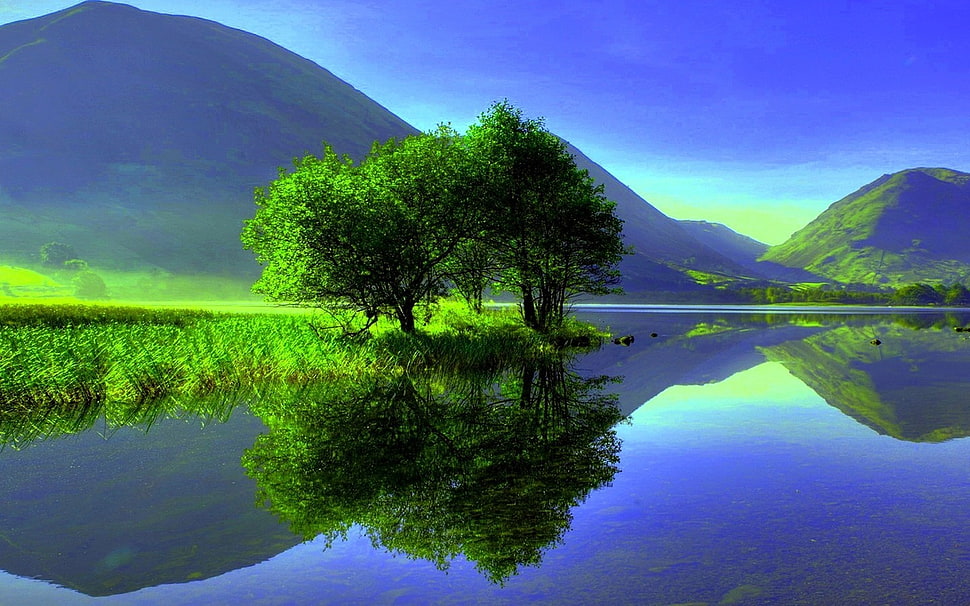 green leaf tree, artwork, nature, mountains, trees HD wallpaper