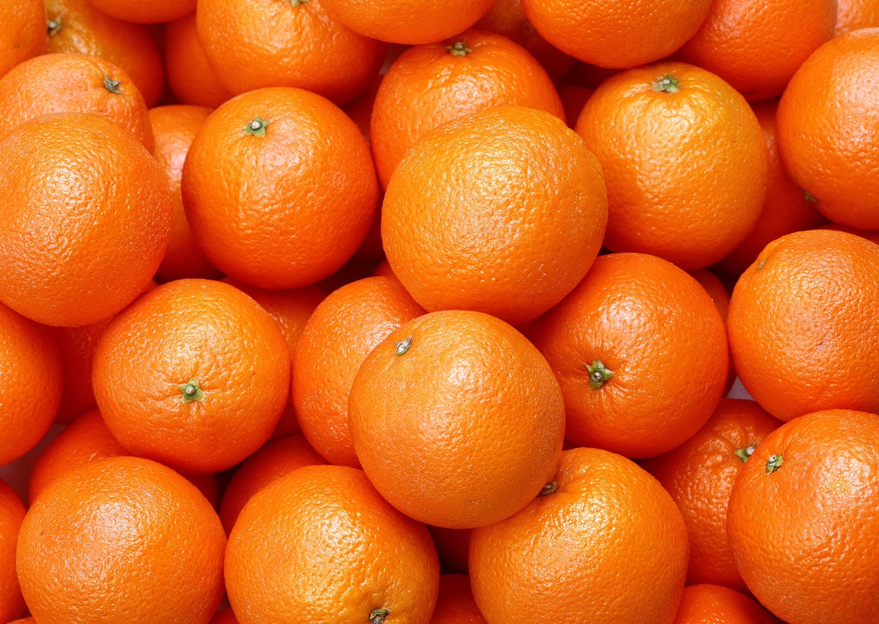 orange fruits