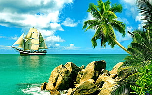 white and brown ship, tropical, palm trees, ship, nature